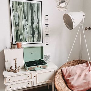 alyssa-strohmann-PlvY-dW5Td0-unsplash Cactus